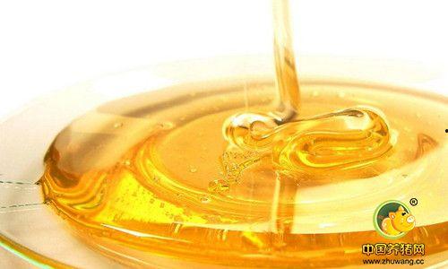 油脂 2016,2016年油脂市场回顾与展望