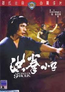 洪拳小子,传承武术精神，谱写青春传奇