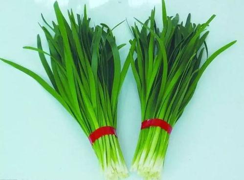 粉丝不是韭菜（一战成名）,一战成名的背后真相揭秘