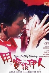 用爱捉伊人,一场温馨浪漫的寻爱之旅