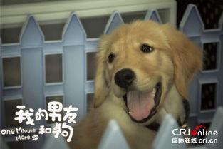 我的男友和狗,我们的温馨生活剪影