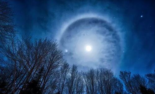 月光藏入海,探寻海洋深处的神秘之光